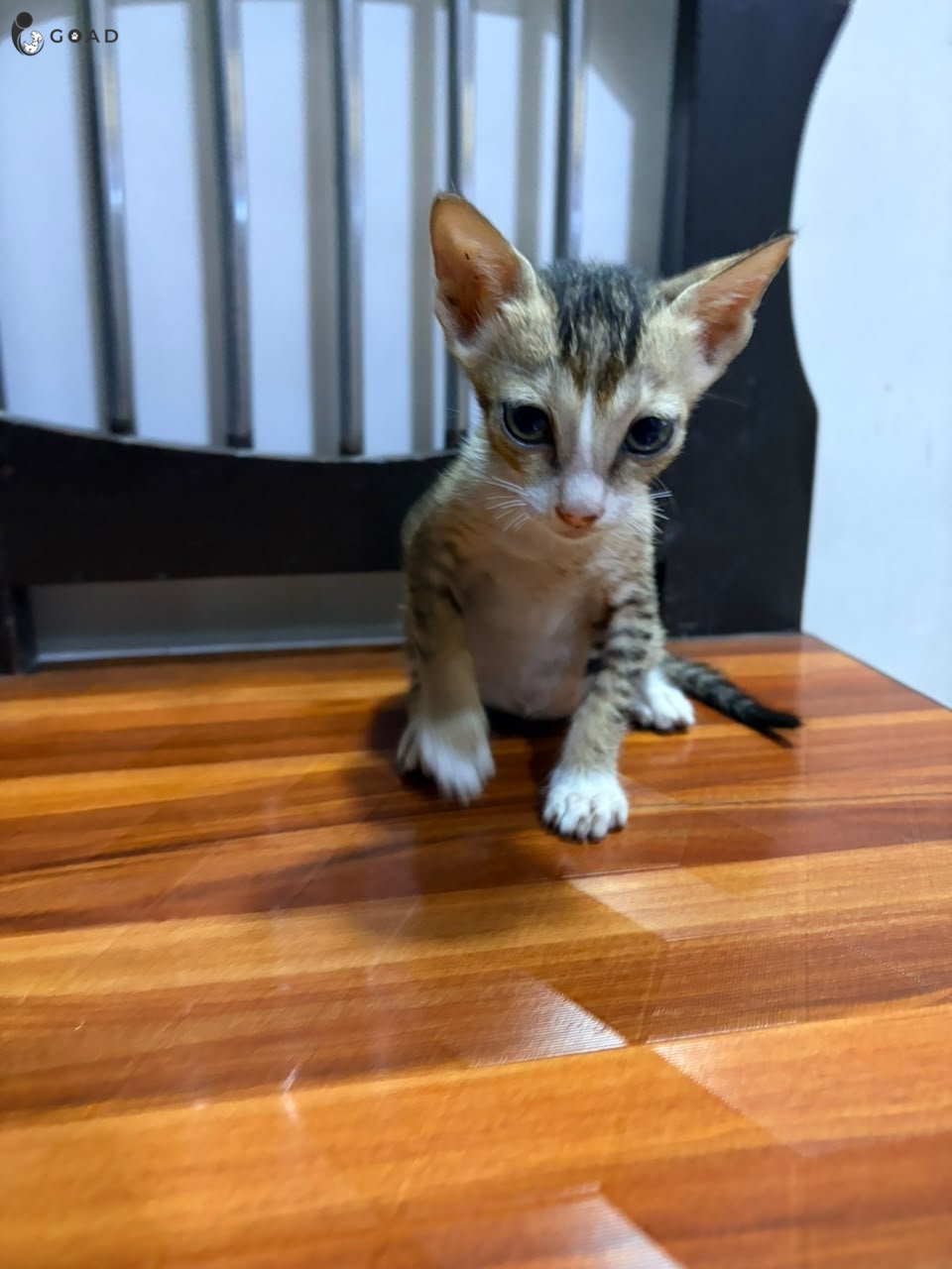 Minu