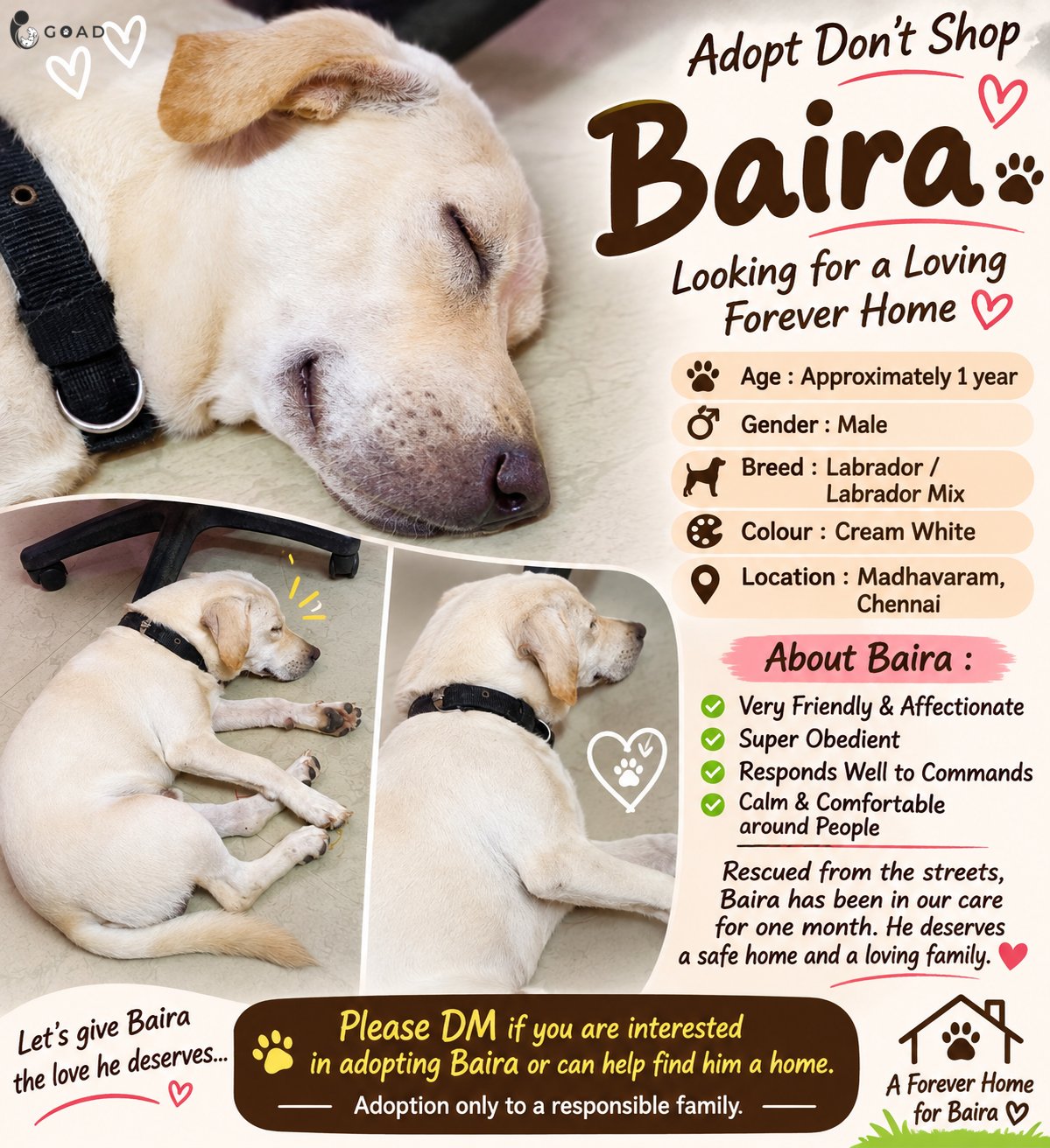 Baira